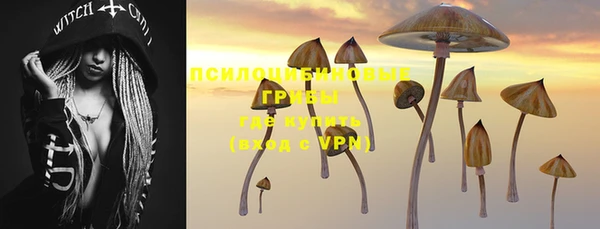 прущая мука Михайловск