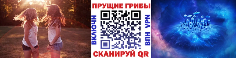 где купить наркотик  Кострома  Псилоцибиновые грибы мицелий 